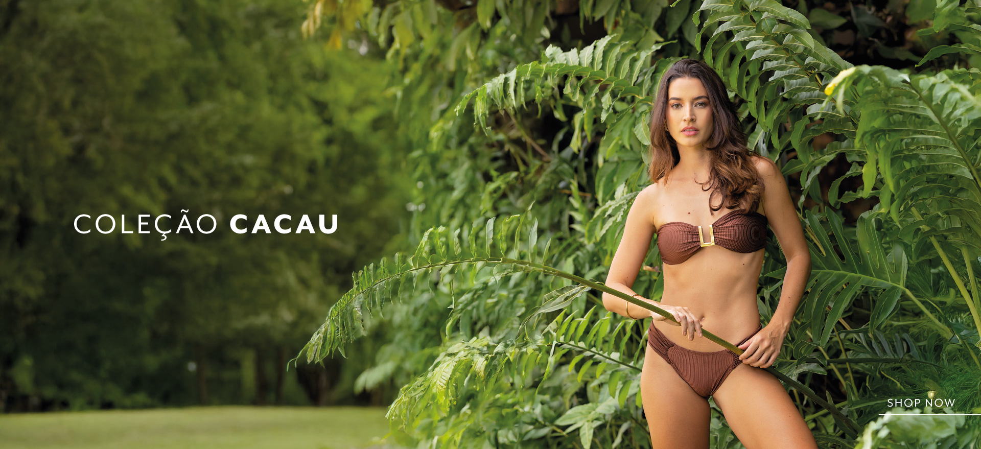 Cacau